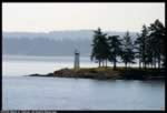 View from the Bremerton/Seattle Ferry (27kb)