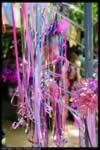 ocf0215.jpg (68kb)