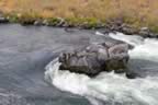 rafting2005_31.jpg (128kb)